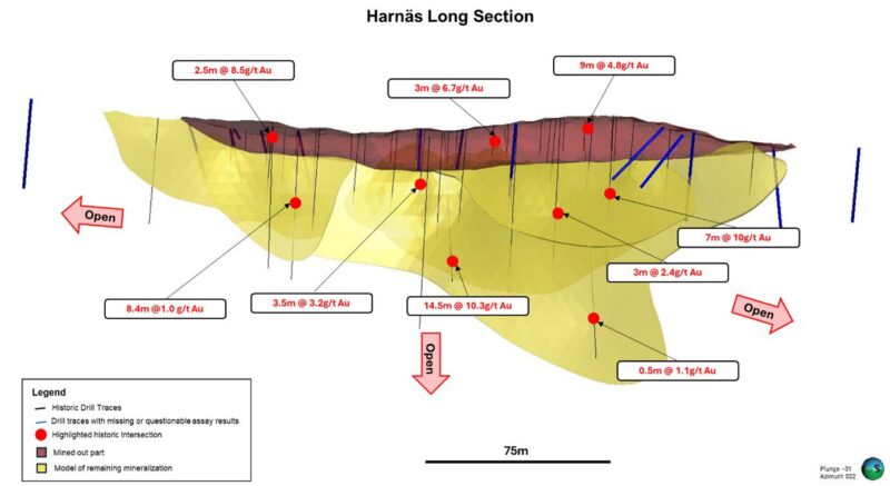 Harnäs Gold deposit long section