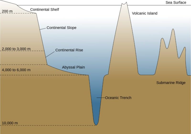 Sea Floor Architecture