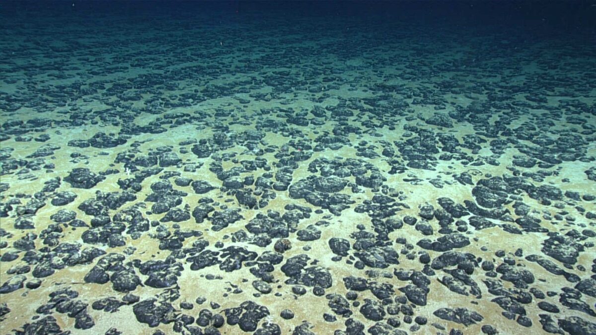 Polymetallic Nodules scattered on the seafloor